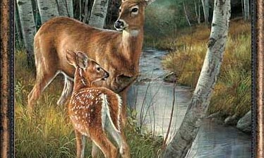 Nai tắm suối (Bài đọc hiểu tiếng Việt lớp 3 - đề số 31) 